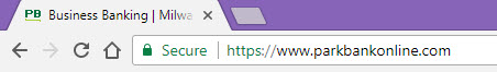 Google Chrome secure website icon